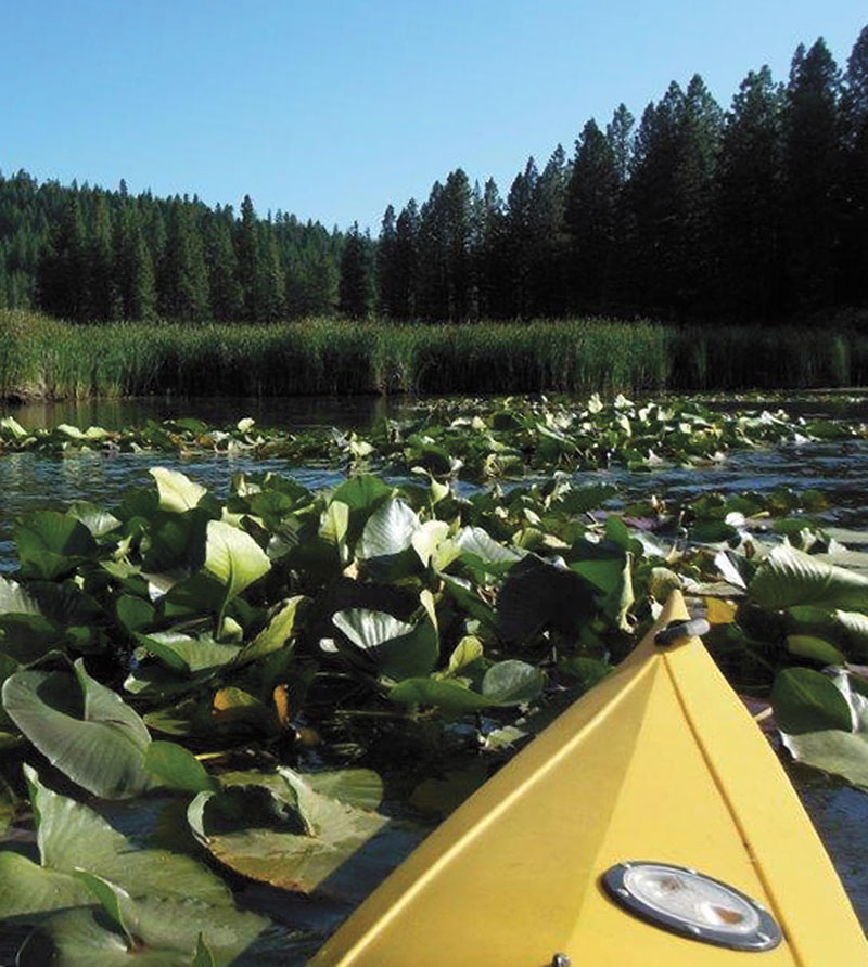 Kayaking on Walker Lake - Lassen County Times